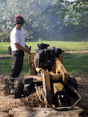 landscaping & tree surgery south west, devon, stump grinding